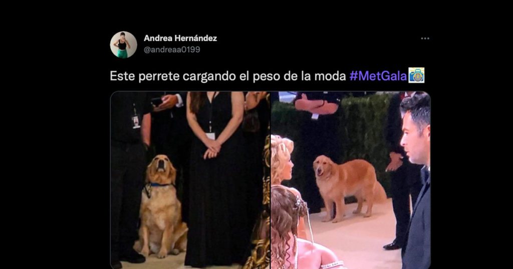 MET Gala 2021: los mejores memes que dejó el icónico desfile en Nueva York