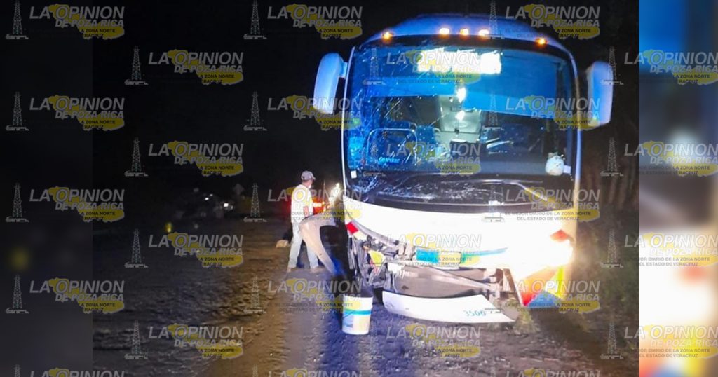 Horrible muerte encuentra un adulto mayor