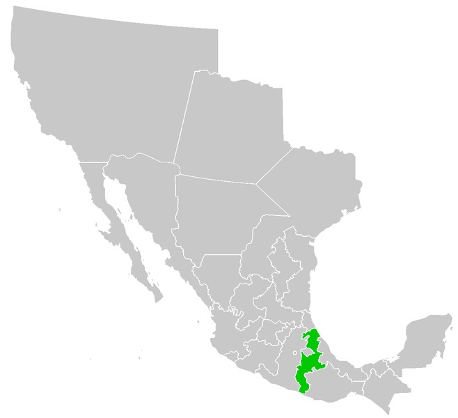 No solo el Pico de Orizaba, Tuxpan también fue Puebla