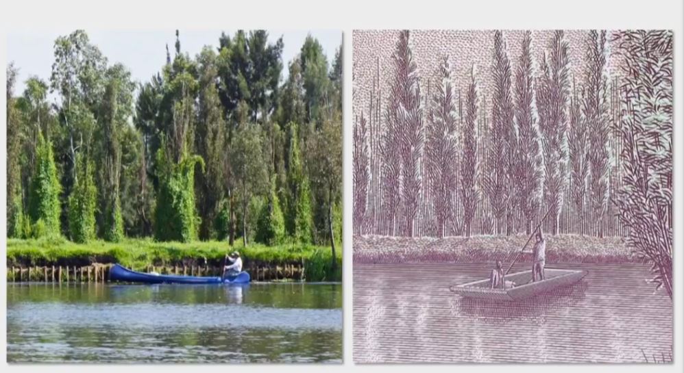 Así es el nuevo billete de $50