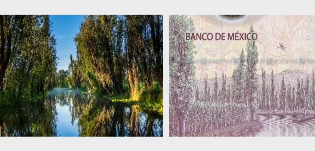 Así es el nuevo billete de $50