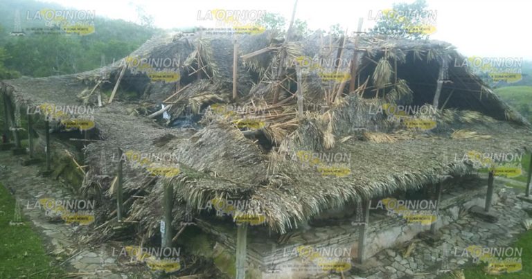 Dejan morir la Zona arqueológica El Tajín