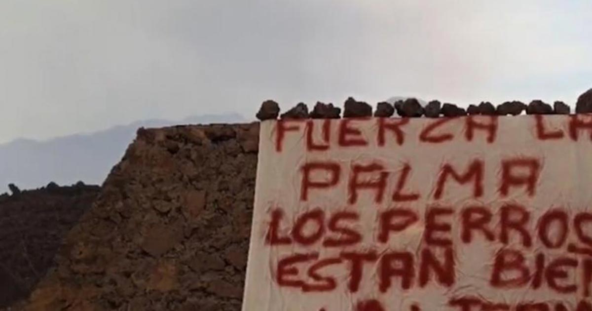 Rescatan a perros atrapados en La Palma