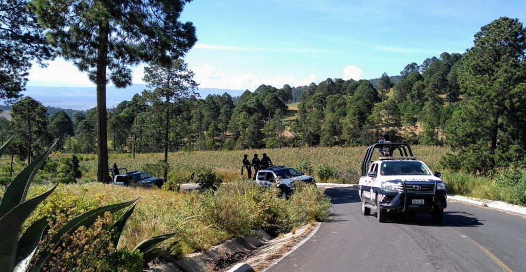 Implementa SSP operativos para inhibir tala clandestina en el Cofre de Perote