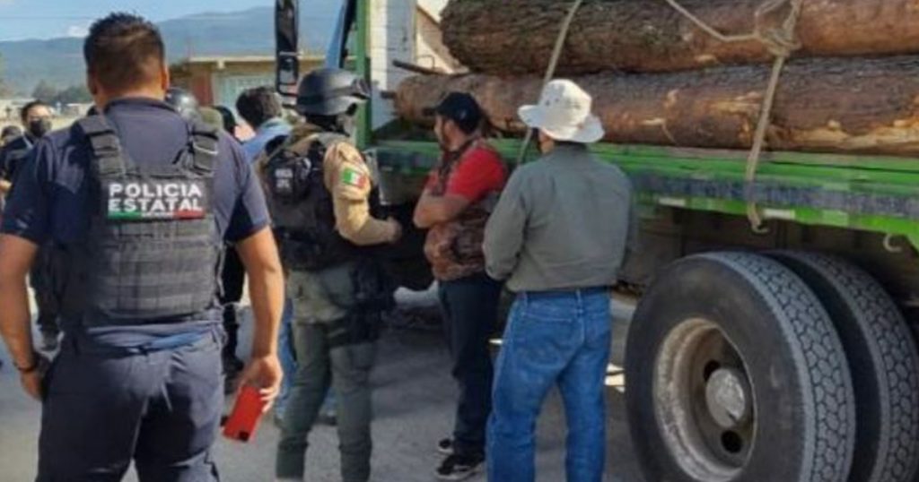 Implementa SSP operativos para inhibir tala clandestina en el Cofre de Perote