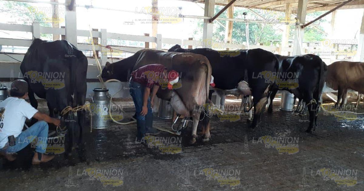 Ganaderos solicitan instalación de casetas de revisión