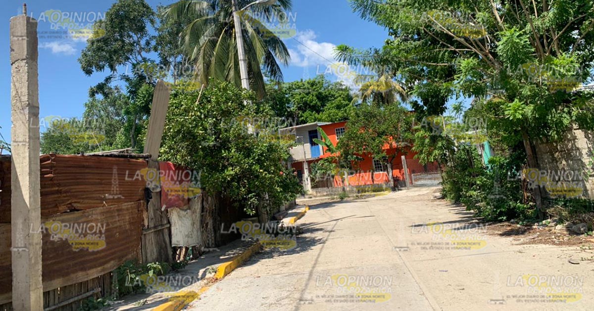 Roban casa en la colonia Los Pinos