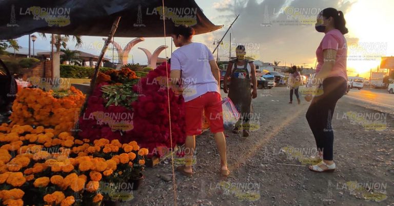 Se cotiza la cempasúchil