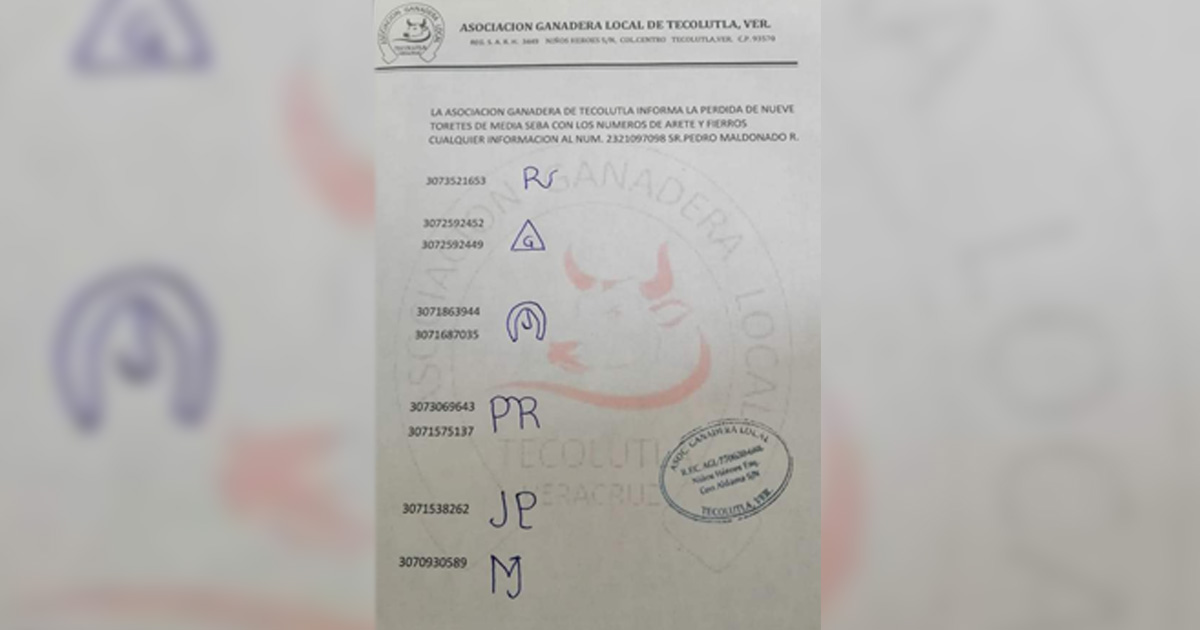 Se roban 9 toretes de Los Manantiales