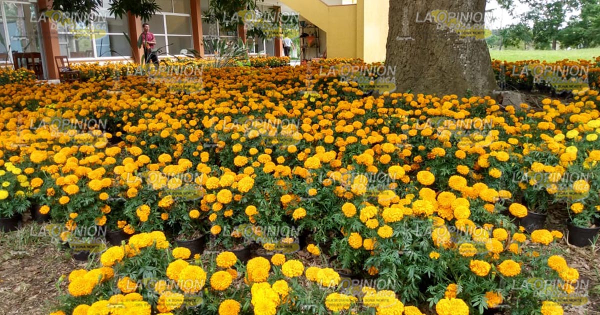 Seminarista de Tuxpan realizan ventas con fe y con causa