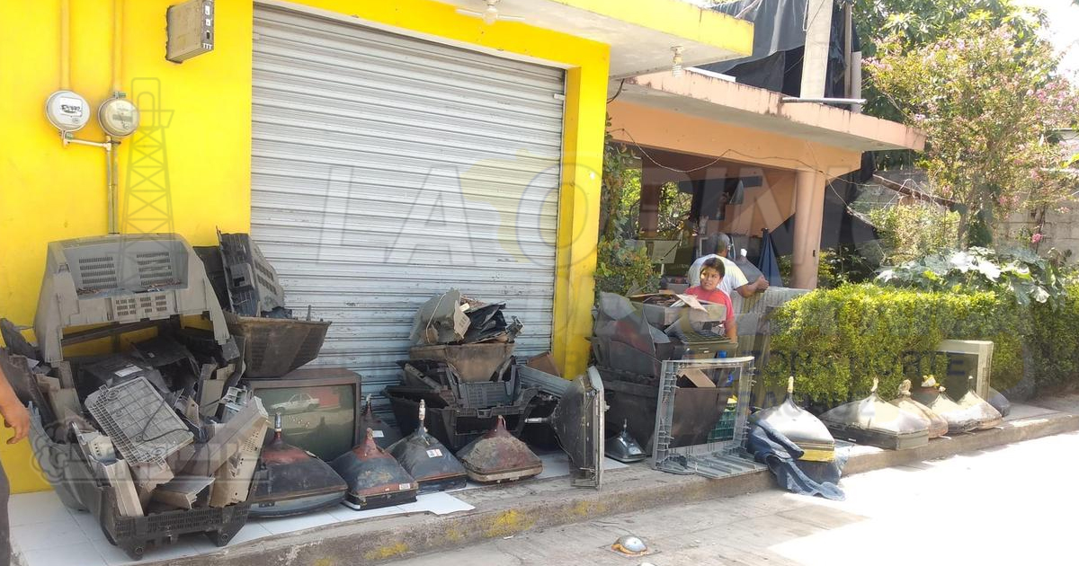 En marcha eliminación masiva de criaderos