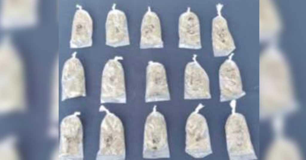 Registra SSP cuatro detenciones por narcomenudeo