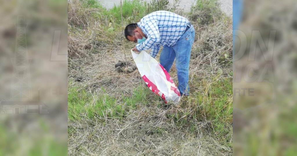 Rescatan áreas verdes en Álamo