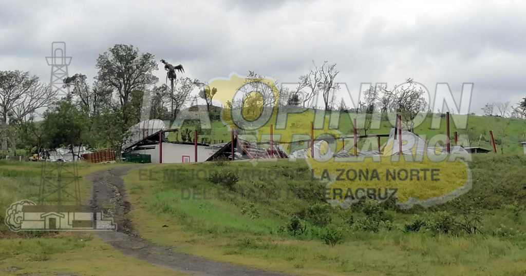 Aumentan precios de garantía de maíz y frijol del programa SEGALMEX