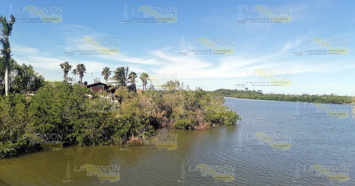 Buscan proteger zonas de manglar en Cazones