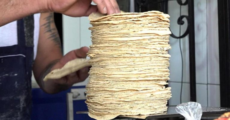 Tortilla podría subir hasta $27 por kilo