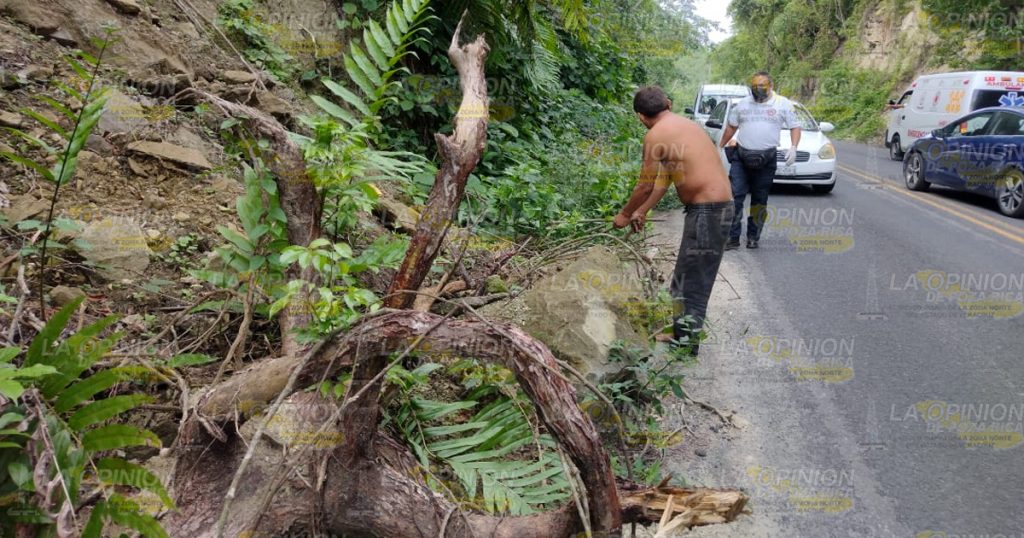 Cayó de lo alto de un cerro