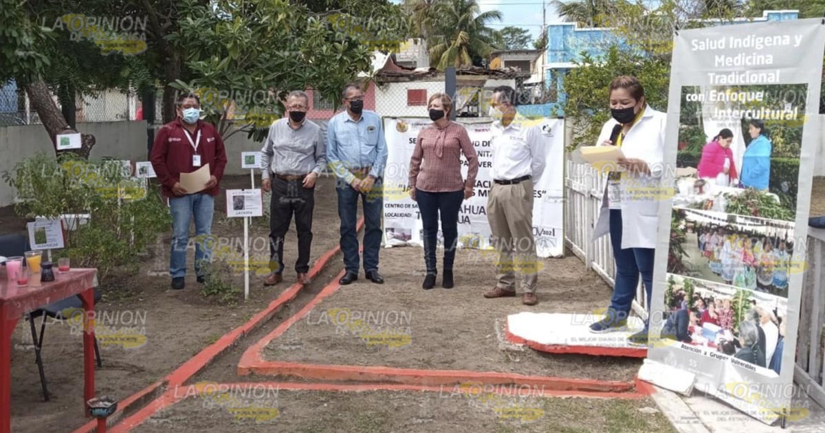 Crean en Tamiahua jardín de plantas medicinales