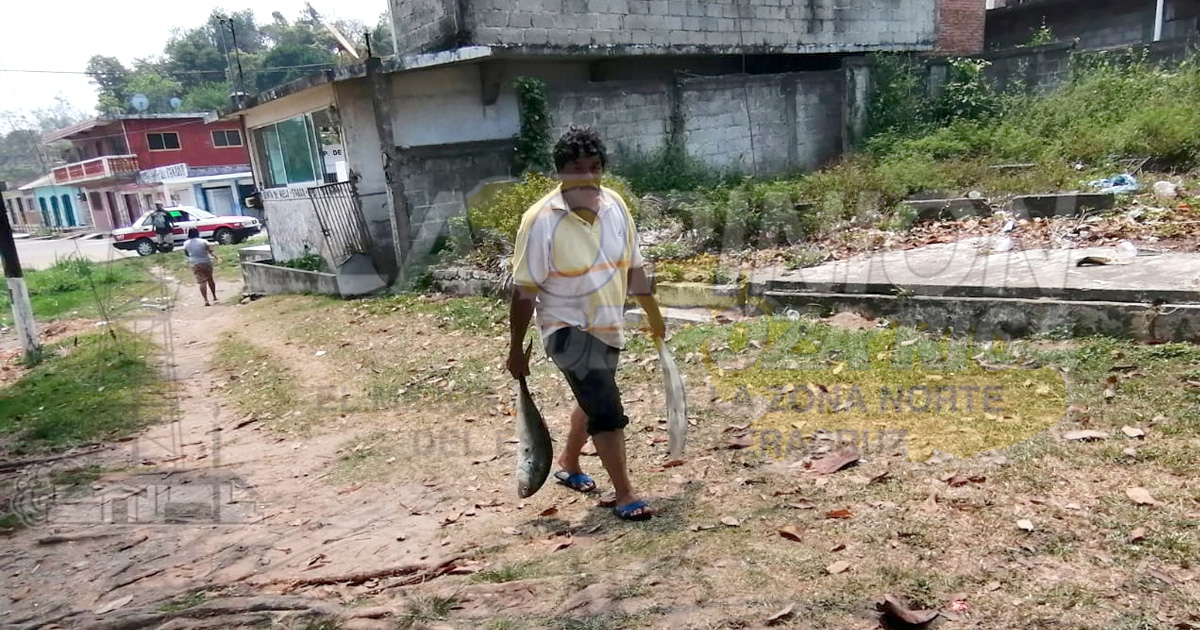 Dos días sin servicio de energía eléctrica, afecta a familias de Barra de Cazones; amenazan con tomar CFE