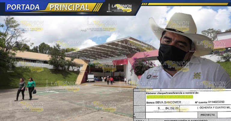 Empresas “patito” en la SEV