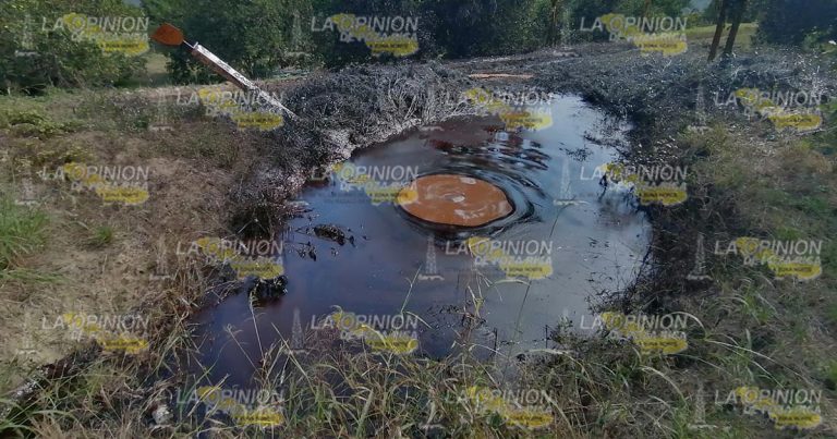 Fuga de crudo contamina varias parcelas en Papantla