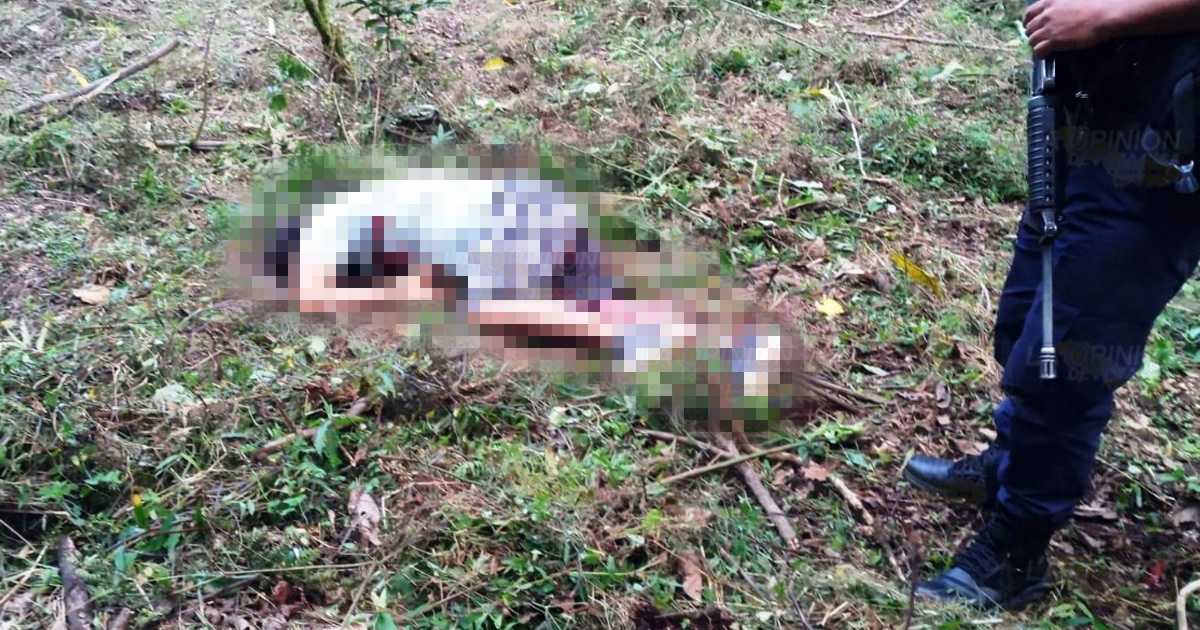 Hermanos atacados a balazos en campo deportivo