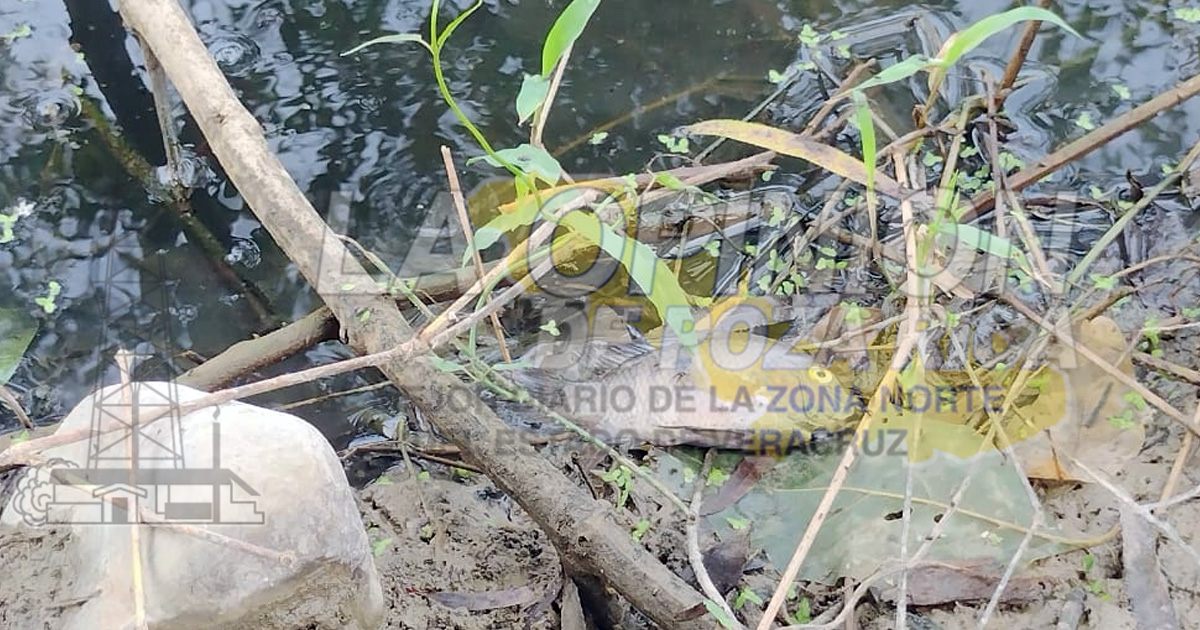 IQC, bajo sospecha permanente