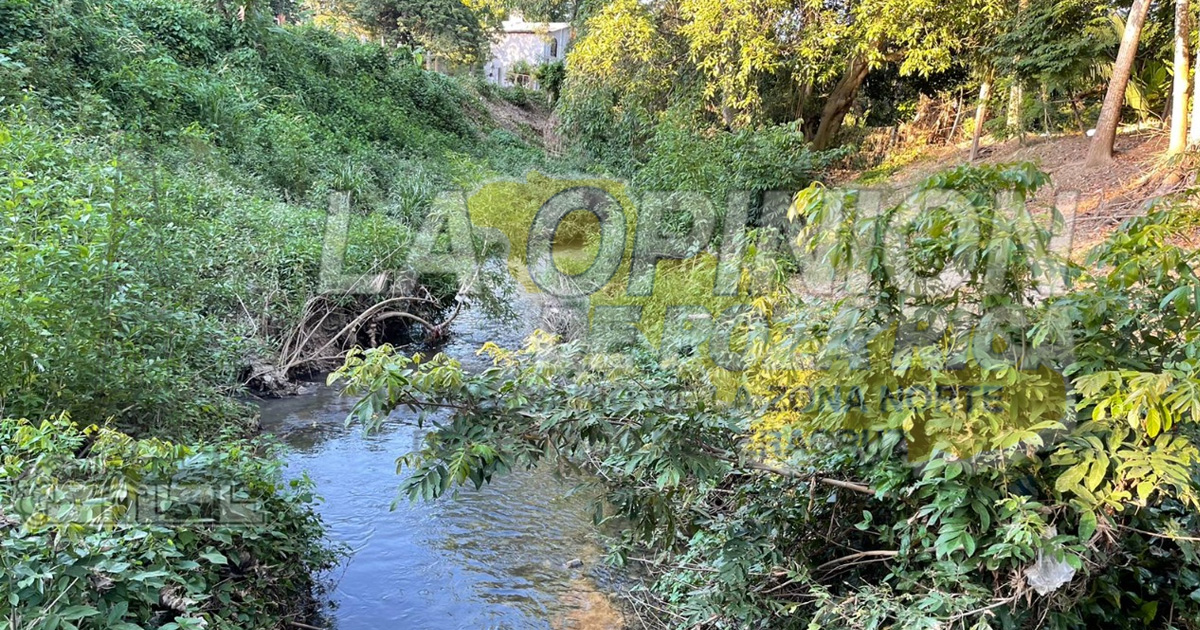 IQC, bajo sospecha permanente