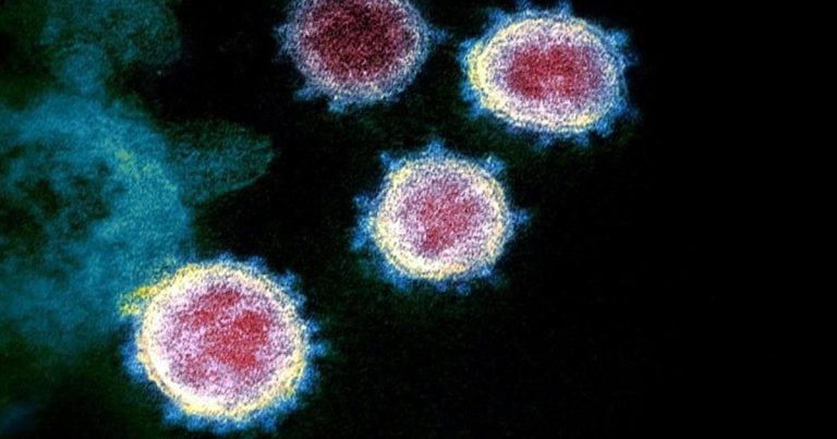 OMS bautiza como ómicron a la nueva variante de Sudáfrica