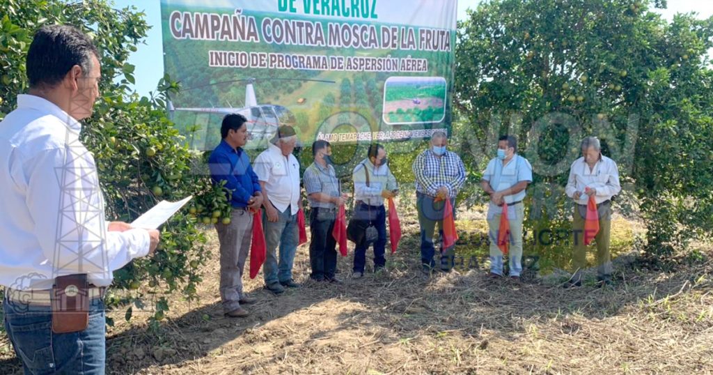 Refuerzan lucha contra la mosca de la fruta