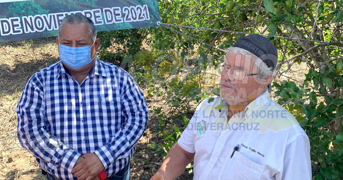 Refuerzan lucha contra la mosca de la fruta