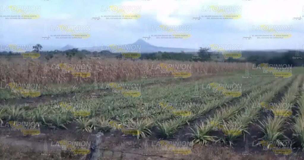 ¡Violento desalojo campesino!