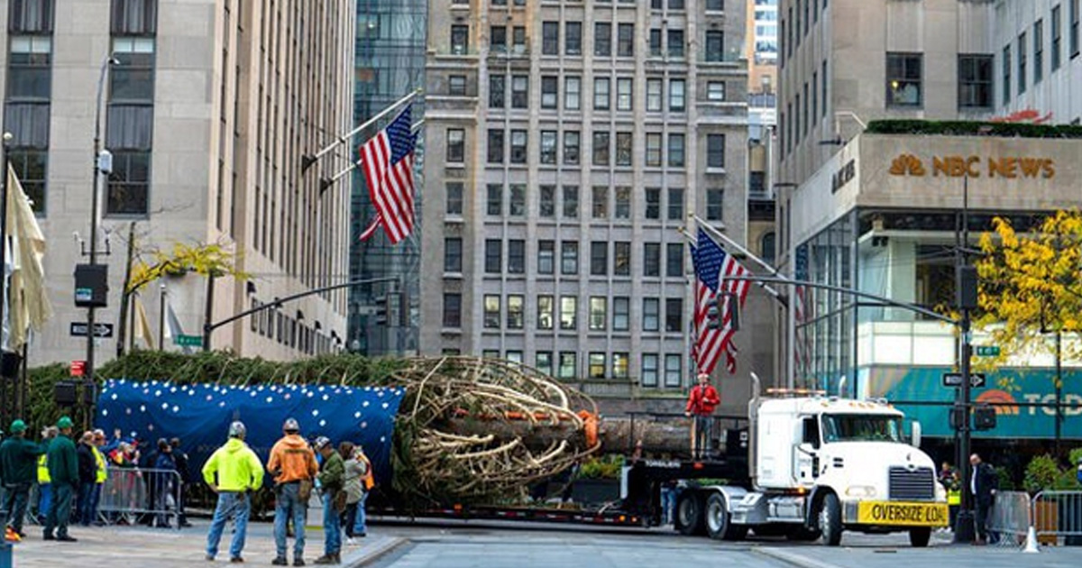 ¡Empieza la Navidad! Llega a NY el tradicional árbol del Rockefeller Center para adornarse