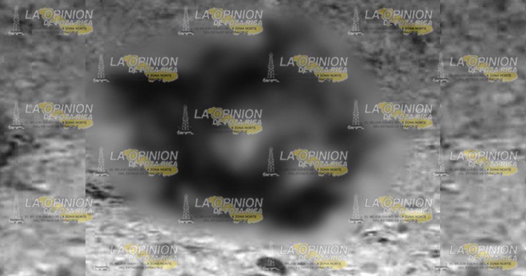 ¡Lo mataron a machetazos!