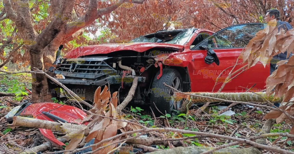 Abandonan Jetta tras estrellarlo en un árbol