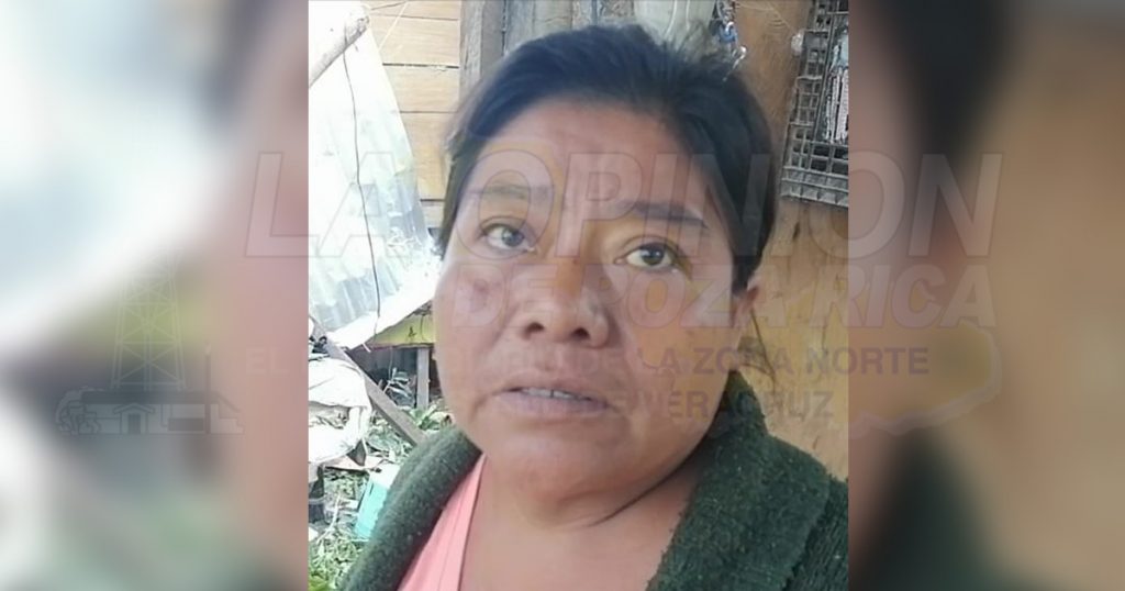 Se desgaja rama de emblemático árbol en La Ceiba