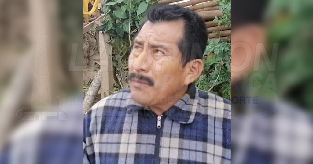 Se desgaja rama de emblemático árbol en La Ceiba