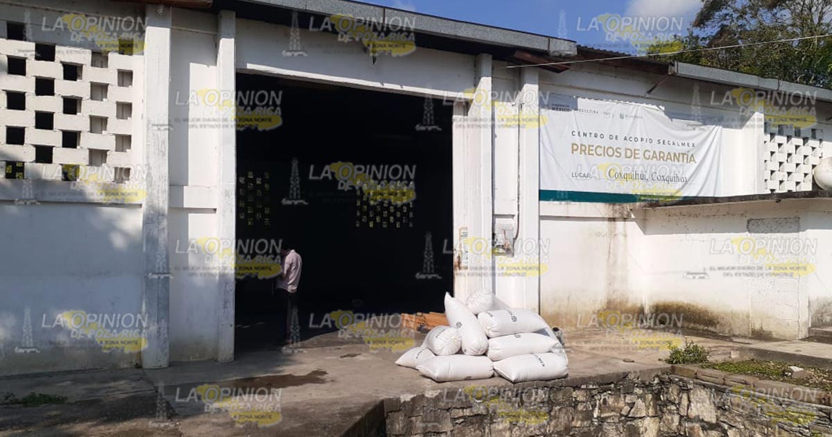 Bajo el acopio de semillas en Segalmex del Totonacapan