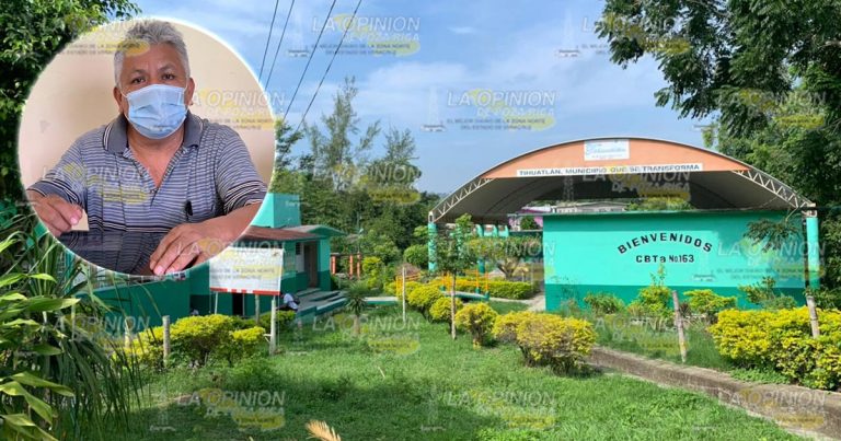 CBTA 163 podría retomar producción de plantas forestales