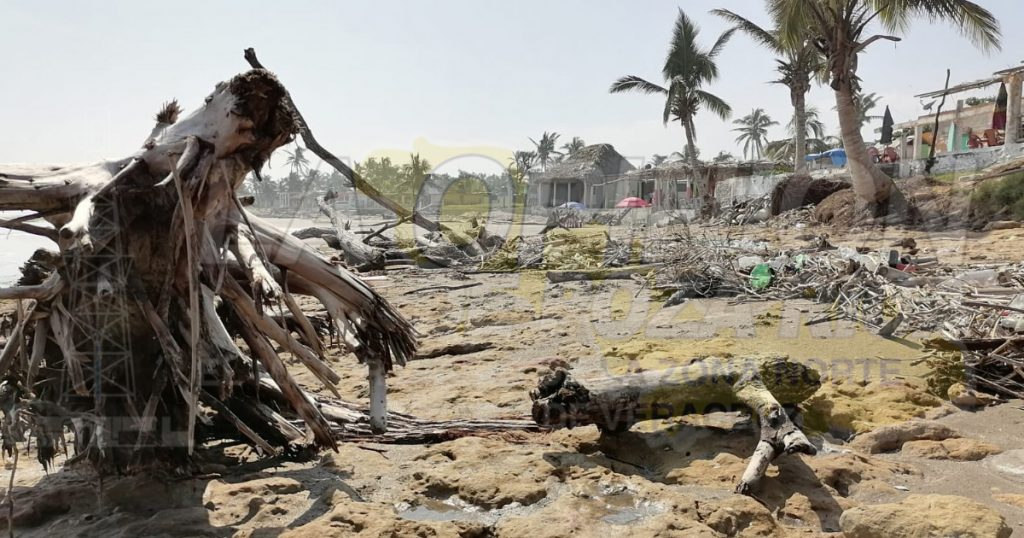 Claman por limpieza de playas, comerciantes de Cazones