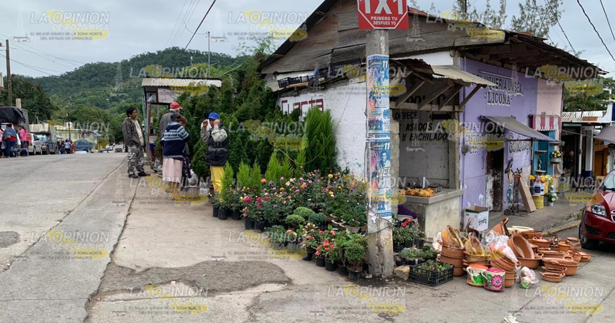 Comerciantes se ven favorecidos con la venta de árboles navideños Comerciantes se ven favorecidos con la venta de árboles navideños 2