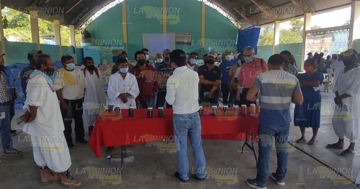 Conmemoran día Internacional del frijol