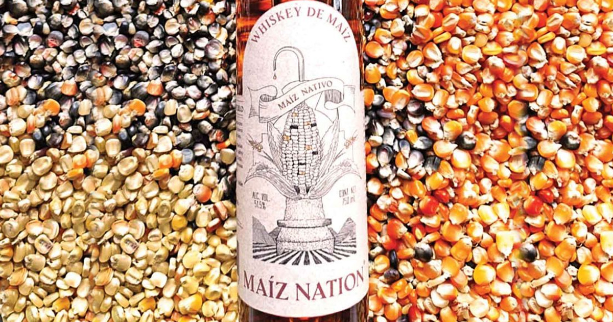 Crean whisky de maíz en Oaxaca; colaboran varias empresas artesanales