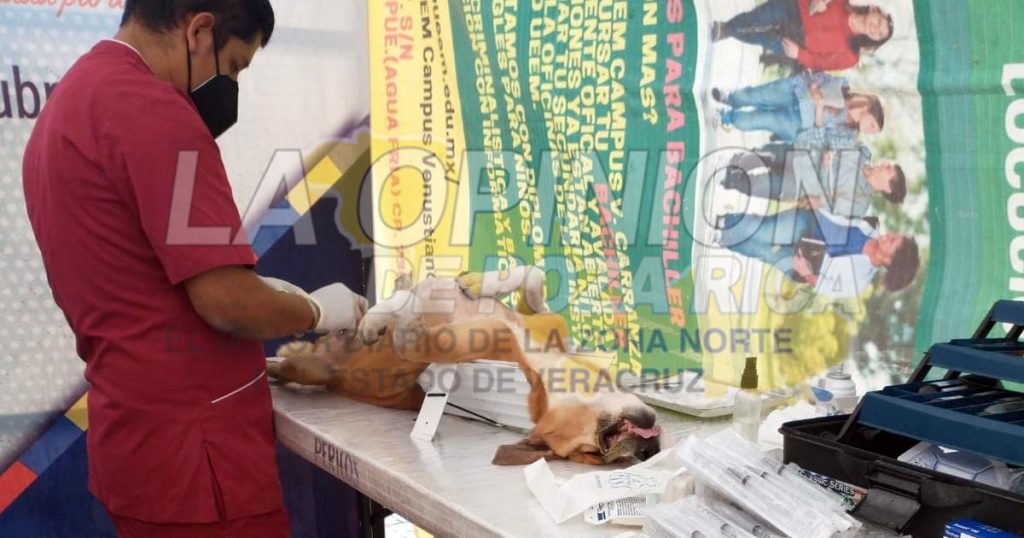 Esterilizaciones mensuales en comunidades: ERC