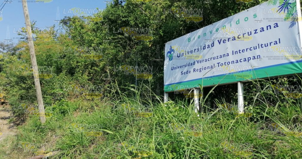 Mejoran acceso a la UVI