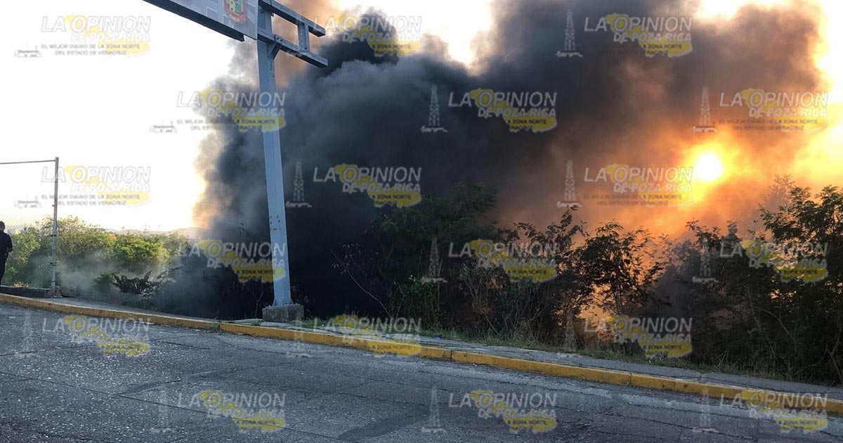 Persiste la quema de pastizales Persiste la quema de pastizales 2