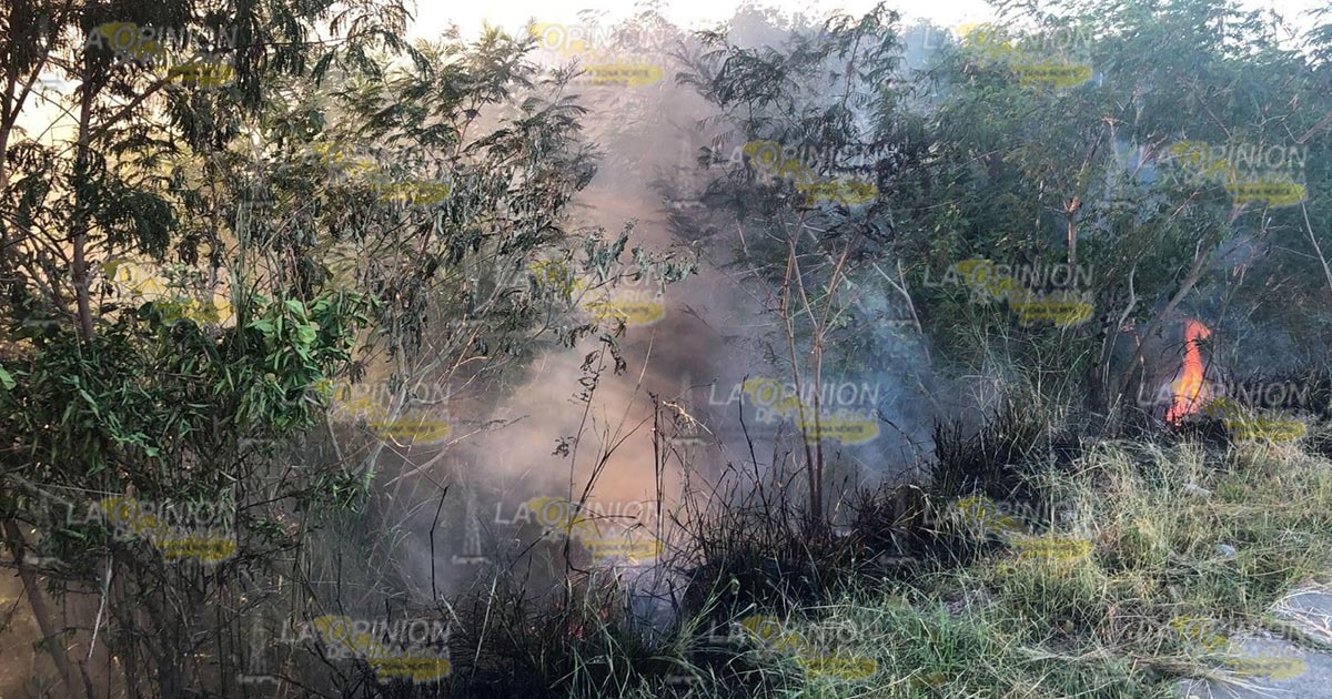 Persiste la quema de pastizales Persiste la quema de pastizales 3