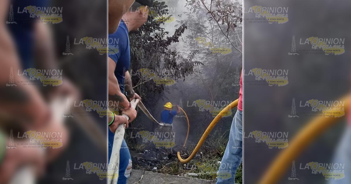 Persiste la quema de pastizales Persiste la quema de pastizales 4