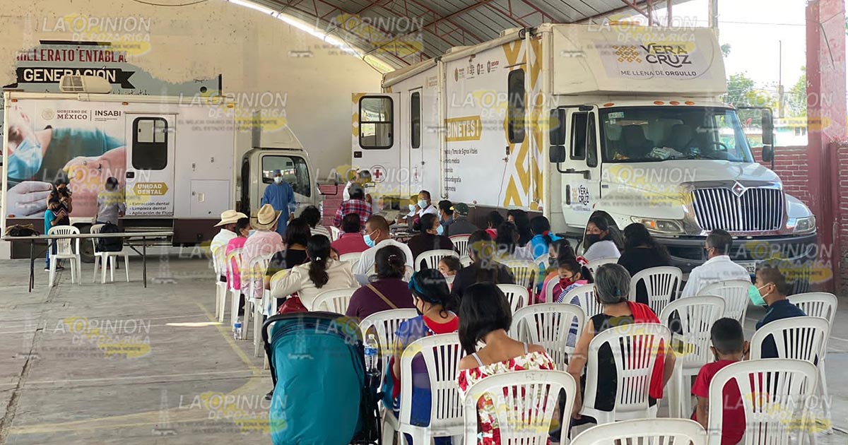 Previenen enfermedades
