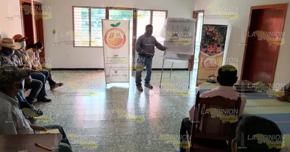 Productores de la zona norte le apuestan a la organización Productores de la zona norte le apuestan a la organización 2